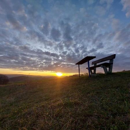 Ferienhaus Erzgebirge "An Der Trebe" Mit Kamin Und Sauna Neuhausen  Bagian luar foto