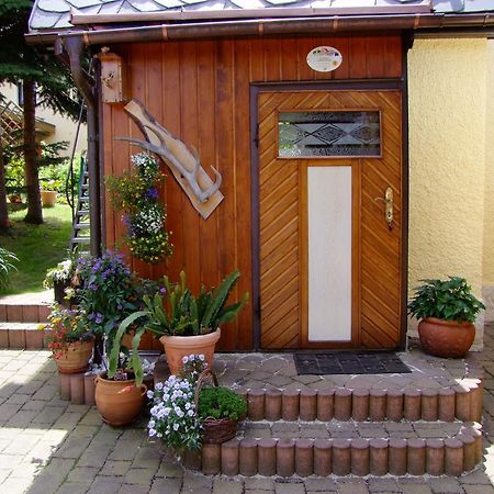 Ferienhaus Erzgebirge "An Der Trebe" Mit Kamin Und Sauna Neuhausen  Ruang foto