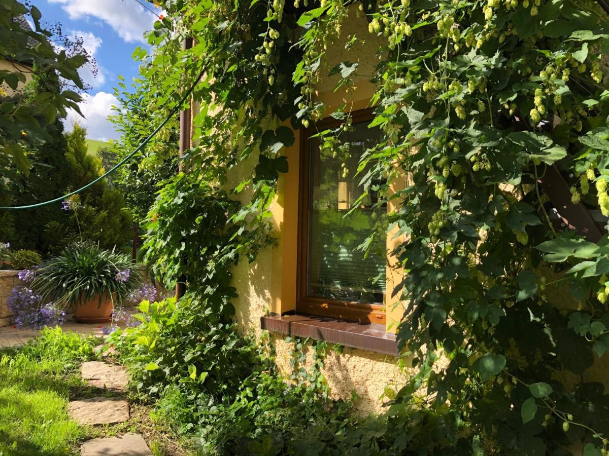 Ferienhaus Erzgebirge "An Der Trebe" Mit Kamin Und Sauna Neuhausen  Bagian luar foto