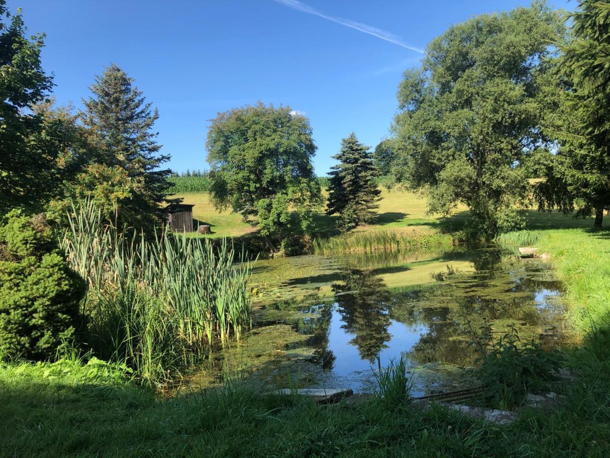 Ferienhaus Erzgebirge "An Der Trebe" Mit Kamin Und Sauna Neuhausen  Bagian luar foto