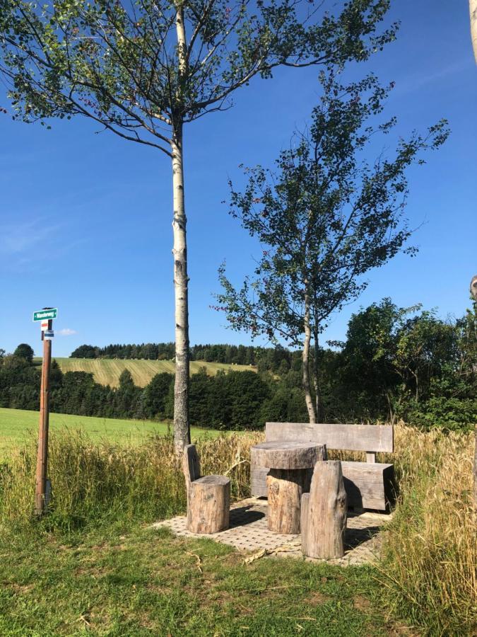 Ferienhaus Erzgebirge "An Der Trebe" Mit Kamin Und Sauna Neuhausen  Bagian luar foto