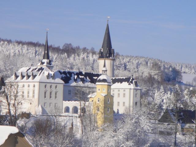 Ferienhaus Erzgebirge "An Der Trebe" Mit Kamin Und Sauna Neuhausen  Ruang foto