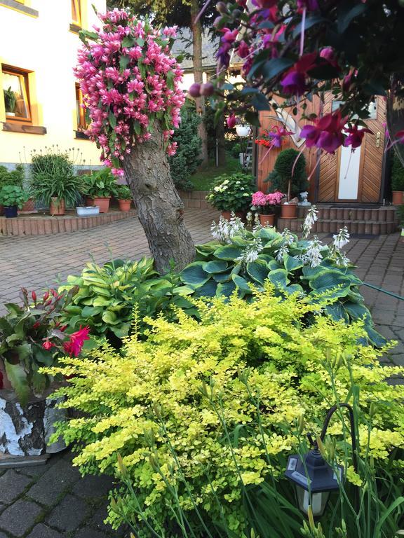 Ferienhaus Erzgebirge "An Der Trebe" Mit Kamin Und Sauna Neuhausen  Bagian luar foto