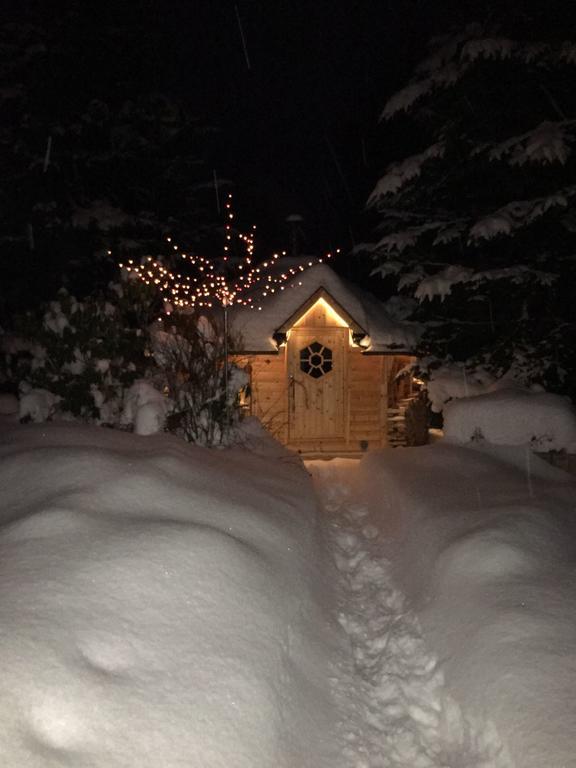 Ferienhaus Erzgebirge "An Der Trebe" Mit Kamin Und Sauna Neuhausen  Bagian luar foto