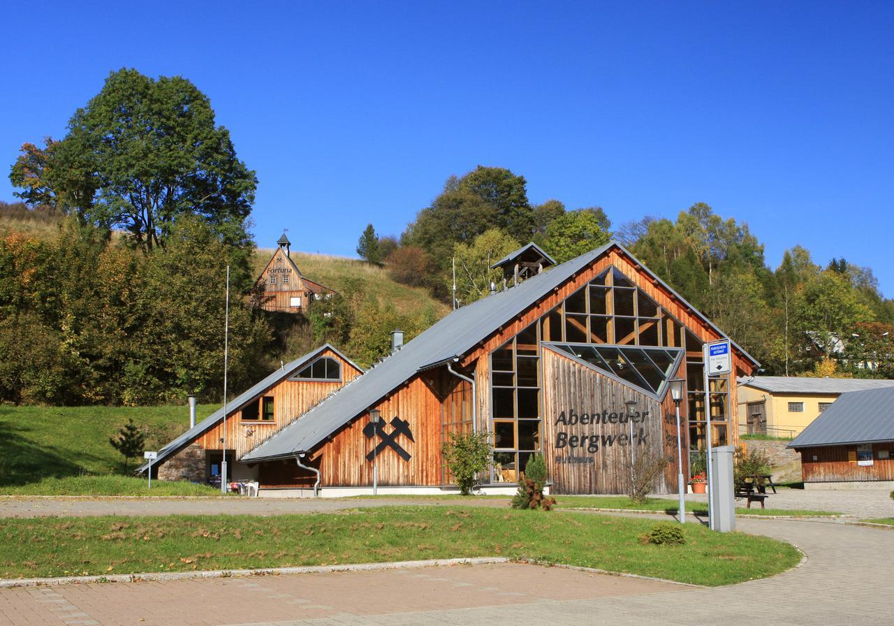 Ferienhaus Erzgebirge "An Der Trebe" Mit Kamin Und Sauna Neuhausen  Bagian luar foto